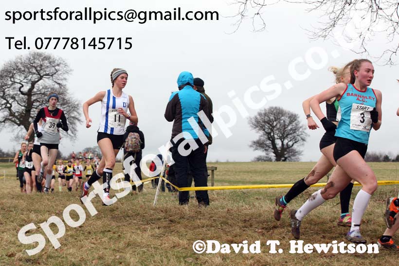Junior womens 2018 Northern Cross Country Champs., Harewood House, Leeds. Photo: David T. Hewitson/Sports for All Pics